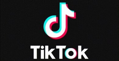 Download TikTok Videos