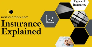 Insurance Explained